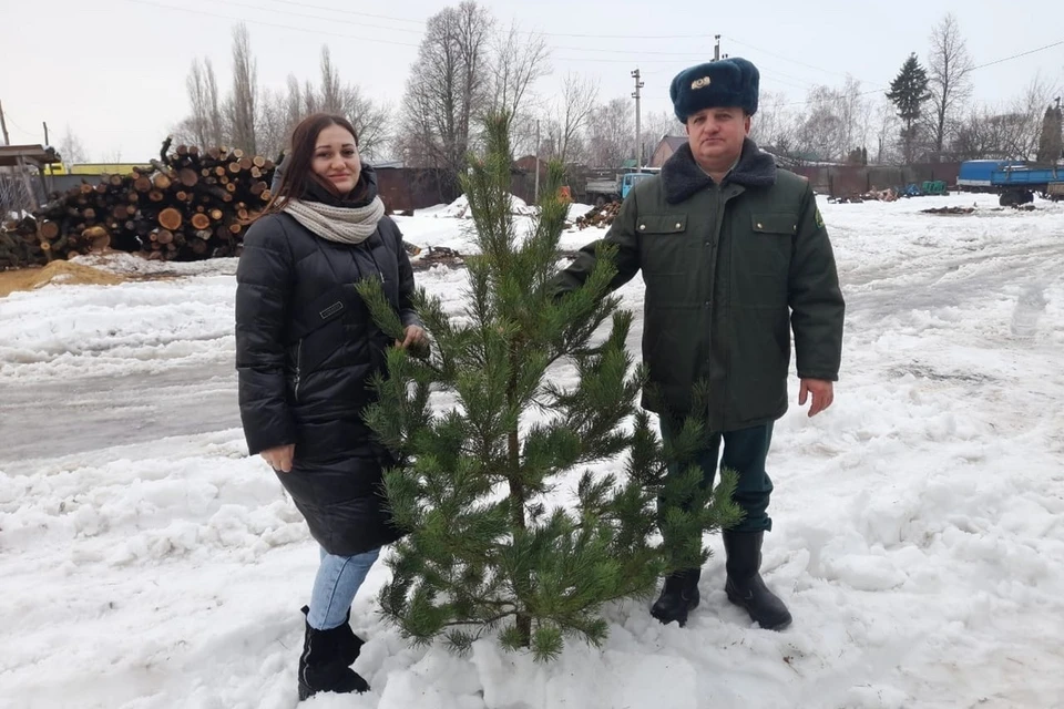 Лесничие Липецкой области доставляют бесплатные елки семьям участников СВО