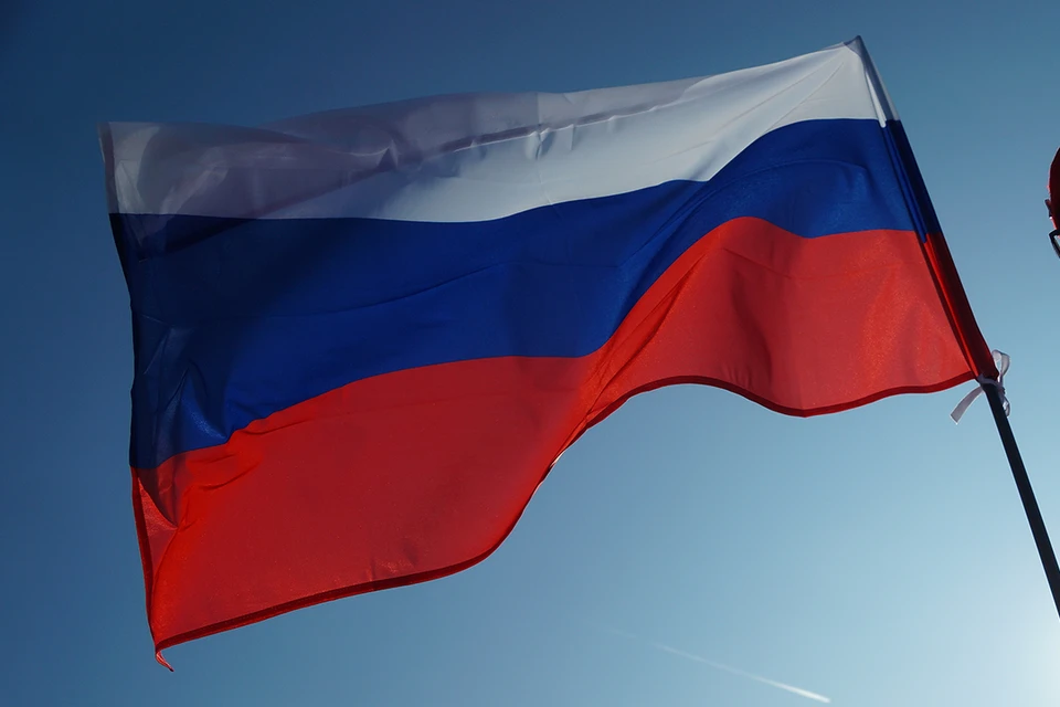 Россия в течение года будет председательствовать в БРИКС.