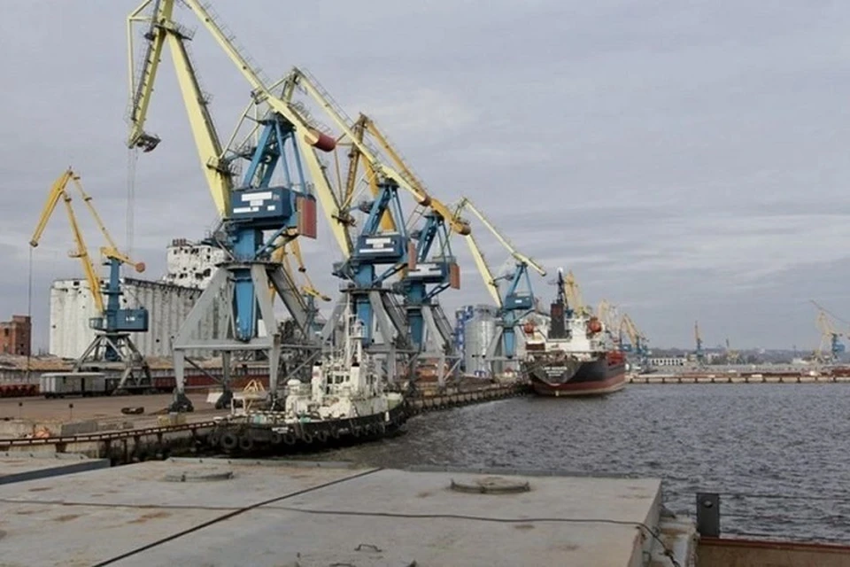 В Мариупольском порту с начала 2024 года отгрузили почти 14 тонн зерна. Фото: Минтранс ДНР