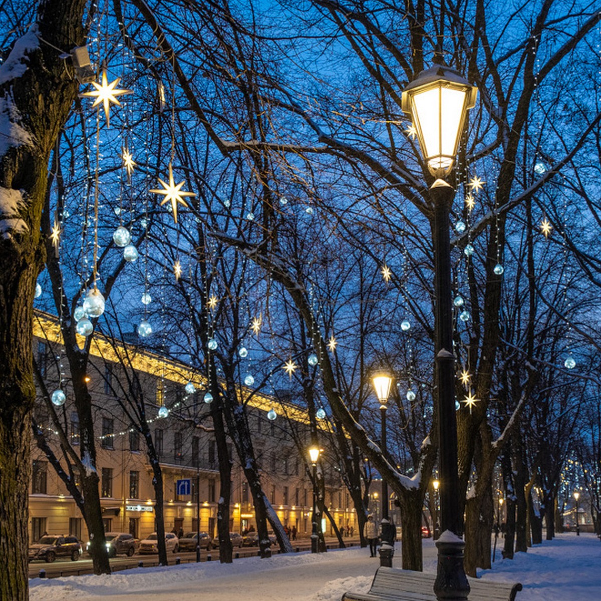 56 фонарей осветили центральную аллею Конногвардейского бульвара в  Петербурге - KP.RU