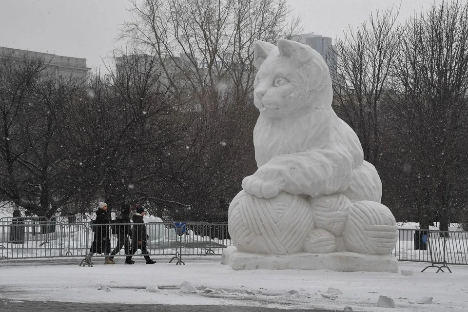 Конкурс снежной скульптуры стартовал в новосибирском парке «Арена».