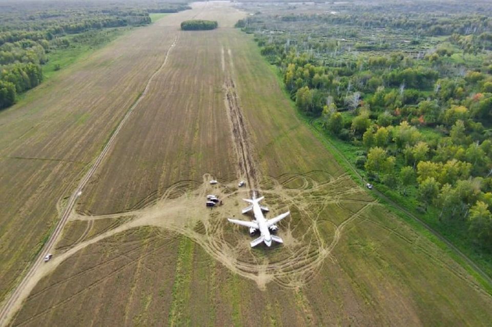 Airbus А320 продолжает оставаться в поле в Новосибирской области. Фото: пресс-службы «Уральских авиалиний»