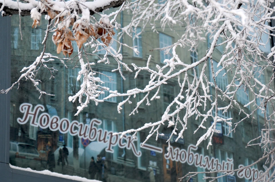В Новосибирске на Старый Новый год потеплеет до -9.