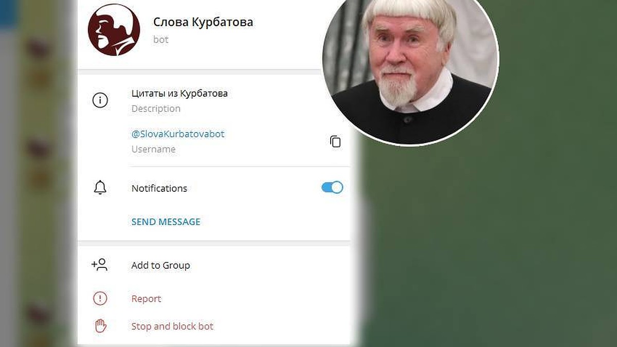 Пообщаться с Валентином Курбатовым через Telegram-бот могут псковичи - KP.RU