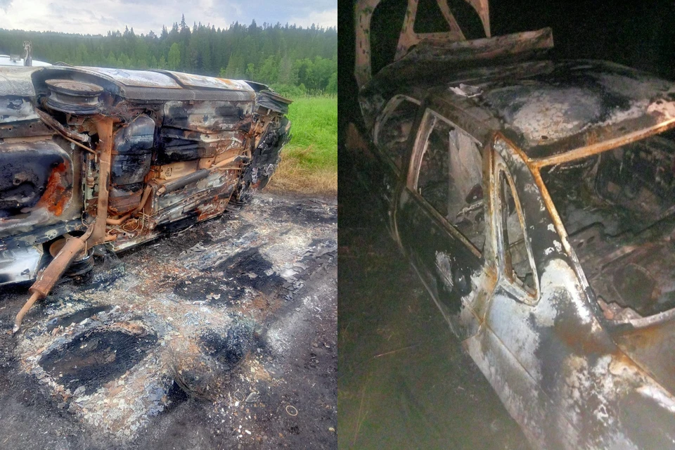 На окраине леса был обнаружен сгоревший автомобиль. Фото: СК