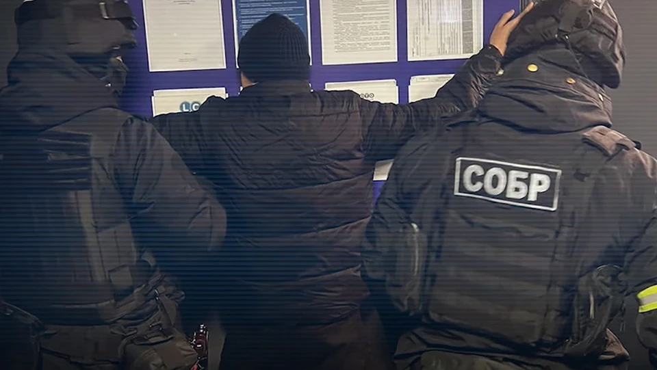 В последние годы нашу страну буквально накрыла волна лудомании.