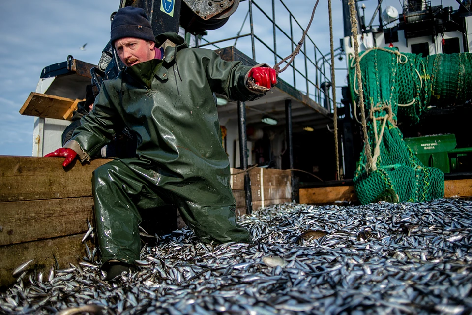 Главный вопрос, который волнует далеких от всяких промысловых дел граждан: а что с ценами на рыбу будет при таком-то улове?