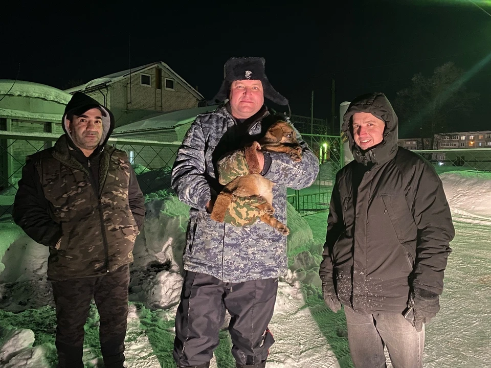 В Тверской области полицейские и зооволонтеры спасли щенков от неминуемой смерти на морозе Фото: vk.com/ulyaostrovskaya