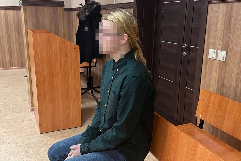 Новосибирца осудили на два года.