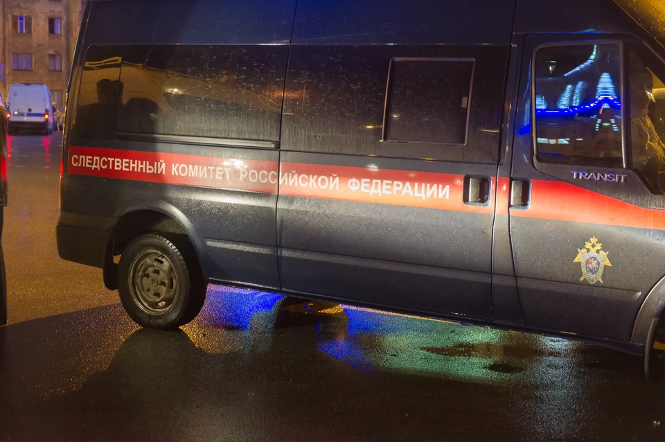 Расследованием ДТП займется СК.