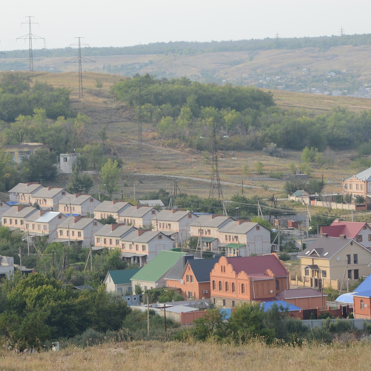 Новостройки вместо леса могут появиться на юге Волгограда - KP.RU