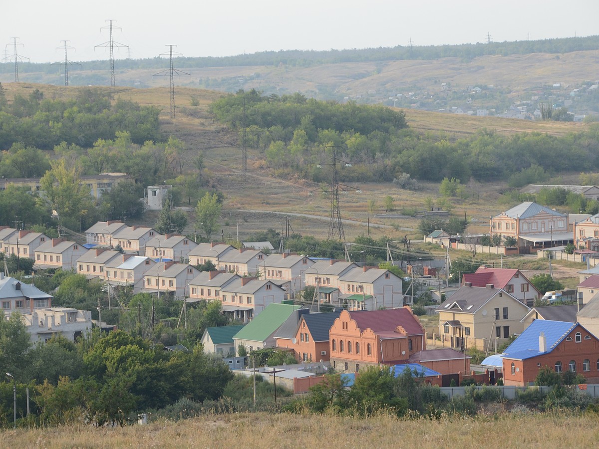 Новостройки вместо леса могут появиться на юге Волгограда - KP.RU