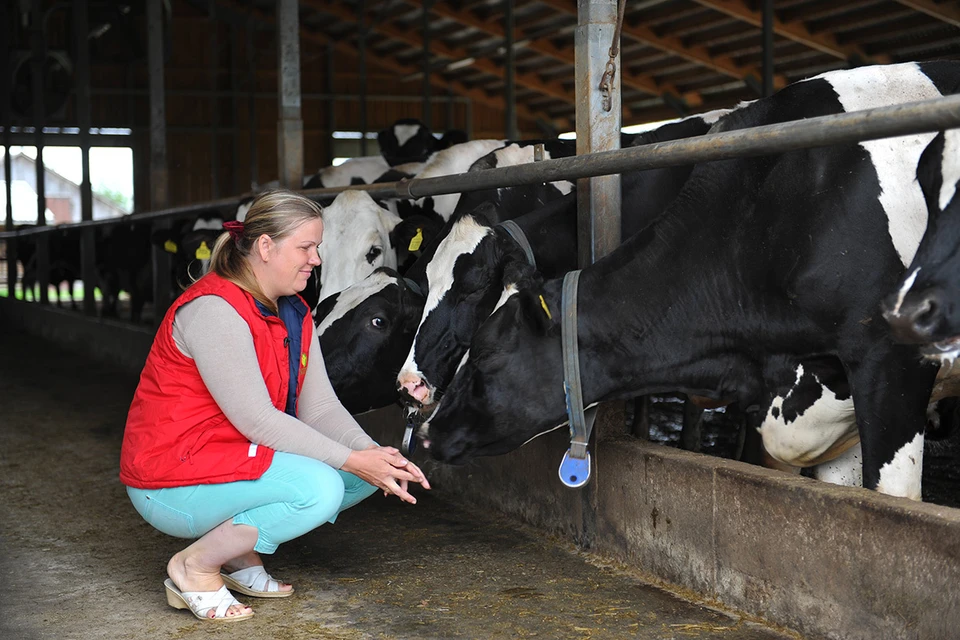 вовсе не трудная задача. полет на зонтике. девушка в полете. летать в облаках. некрепко или не крепко.