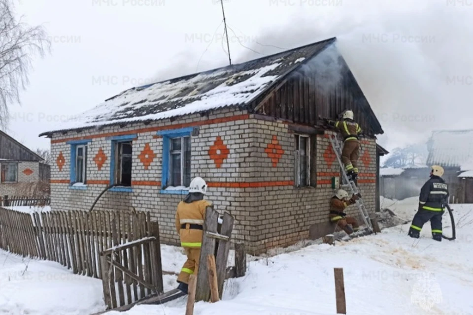 Фото: пресс-служба ГУ МЧС России по Бряснкой области.
