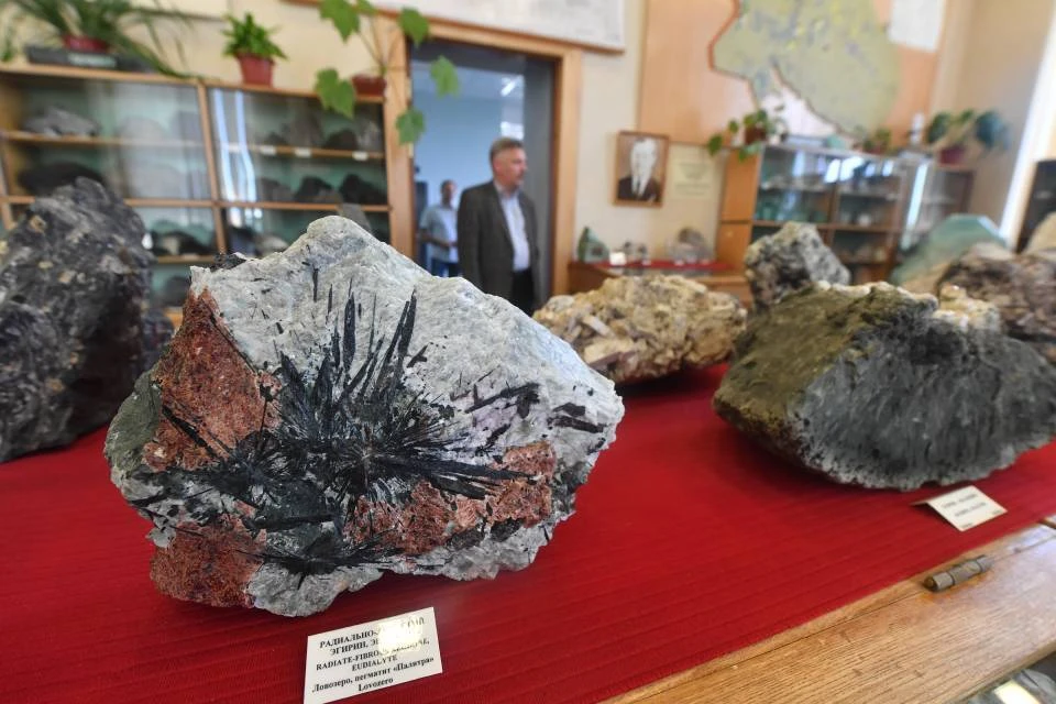 Образцы пяти из семи новых минералов привезли из-за границы.