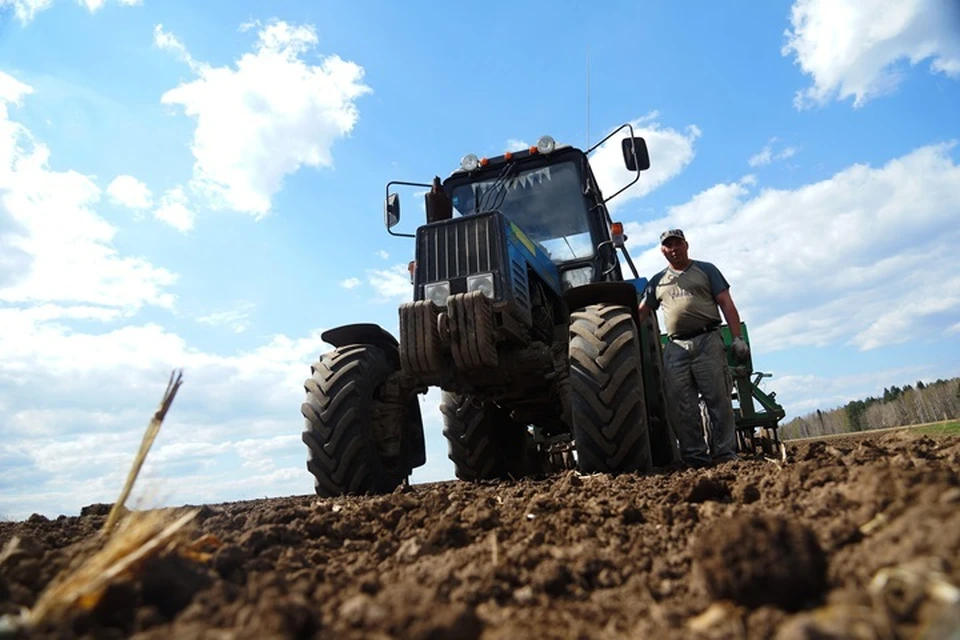 Средняя зарплата работника сельского хозяйства составляет 46,8 тысячи рублей.