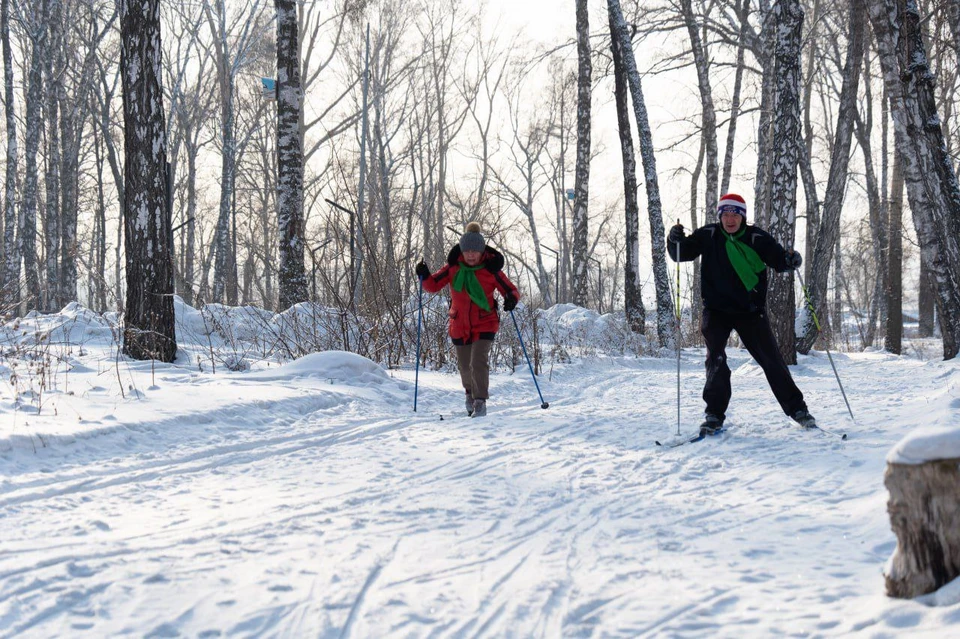 Лыжная трасса длиной в один километр появилась в кемеровском парке «Березовая роща». Фото: Александр ЧАРИНЦЕВ