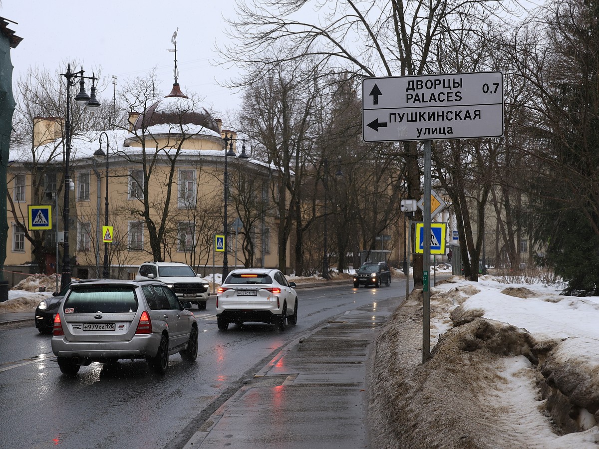 Об этом просят жители»: Зачем в Пушкине потребовалась платная парковка и  могут ли ее ввести - KP.RU