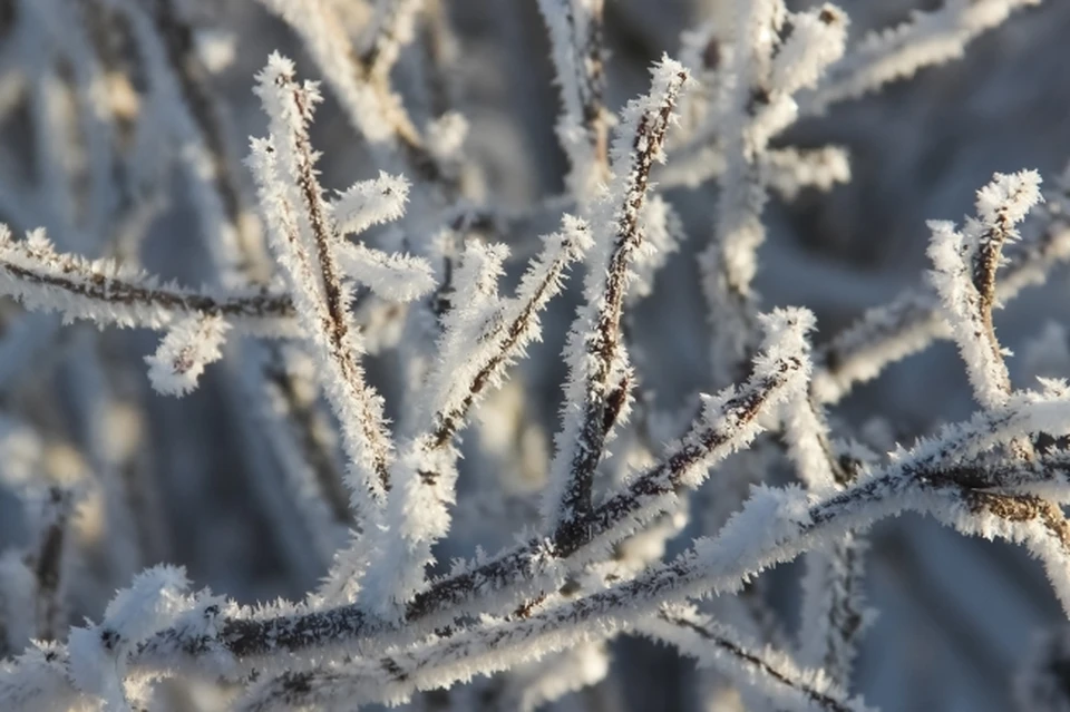 Немного морозно будет в Хабаровском крае 3 февраля