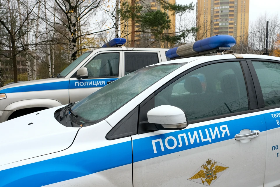 Петербурженку, разбившую разбила стакан о голову знакомого, доставили в полицию.