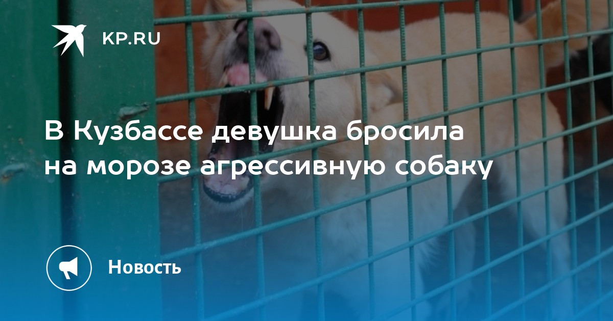 кодекс административного судопроизводства российской федерации. административные правонарушения статьи. закон о содержании домашних животных. статья 6. проанализировать состав административного правонарушения.