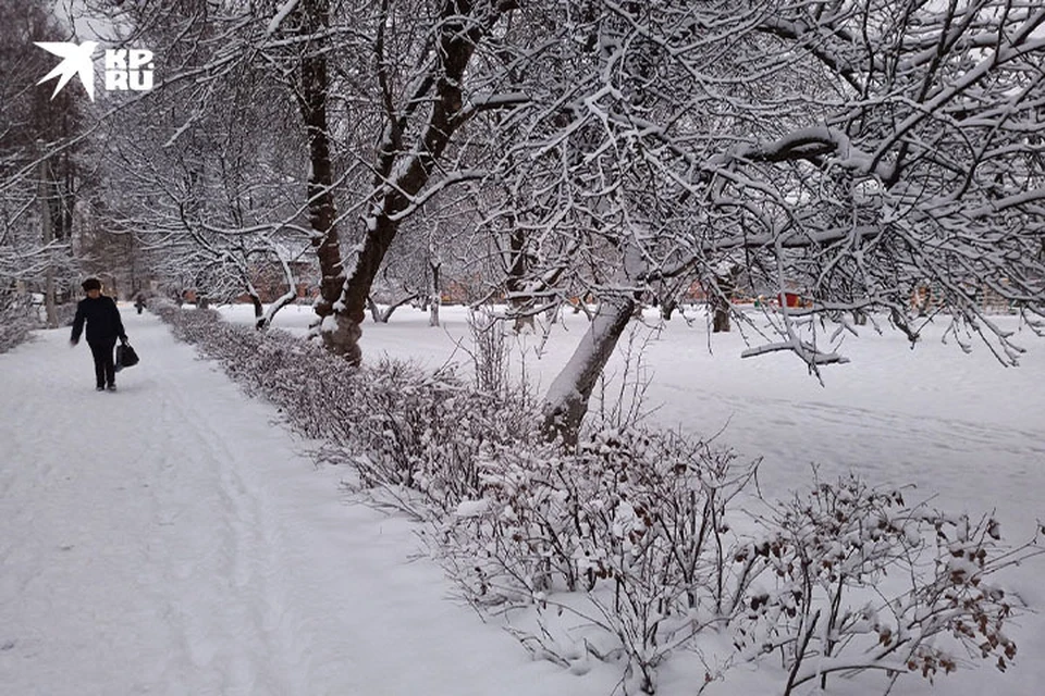 Циклон "Ольга" завалит снегом Тверскую область