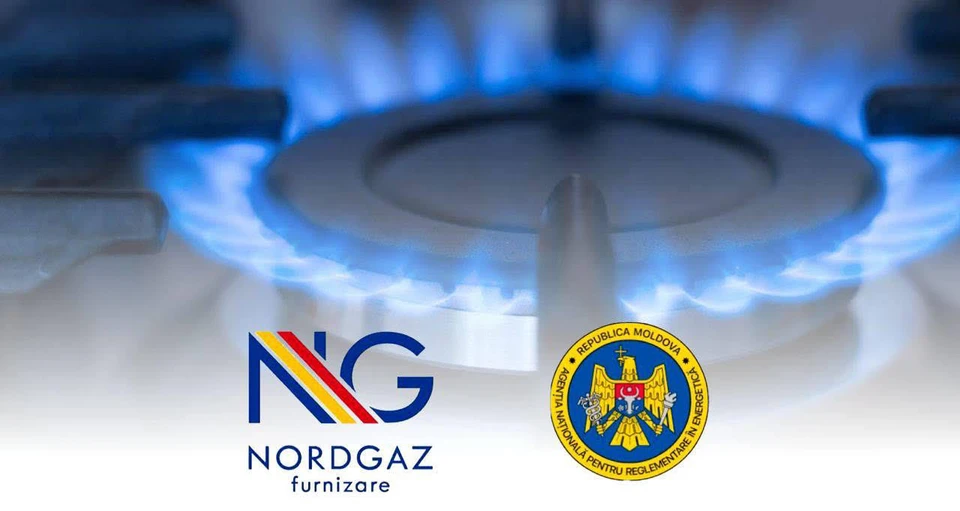 Приостановка НАРЭ лицензии Nordgaz была незаконной.