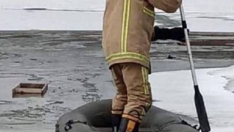 Брат и сестра утонули в пруду.