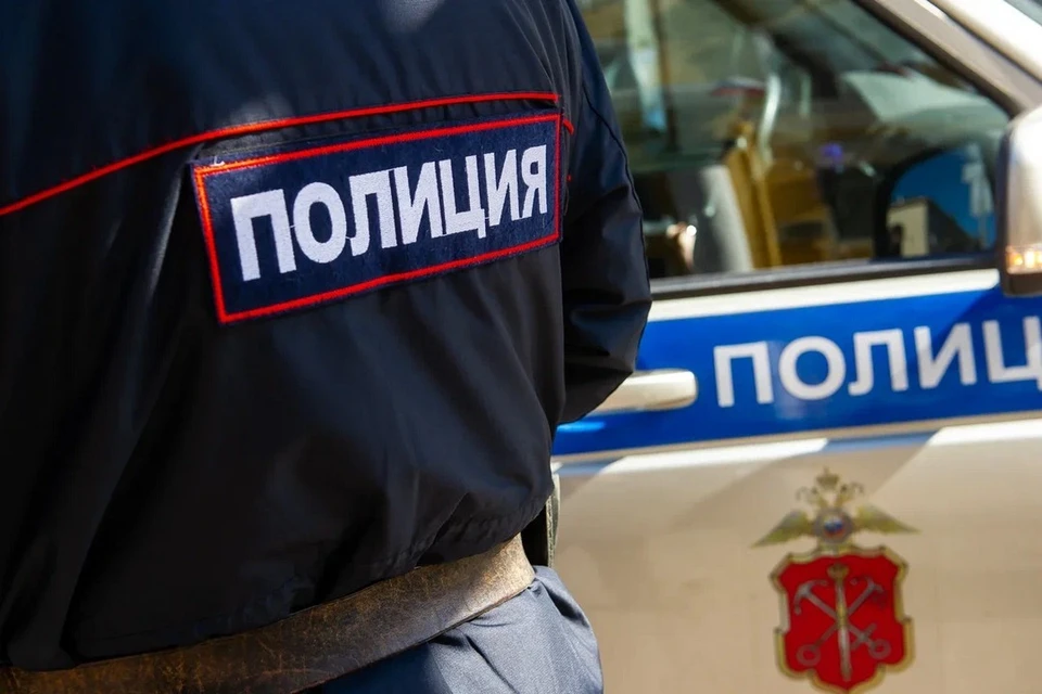 В Петербурге задержали подозреваемую в стрельбе по эвакуатору.