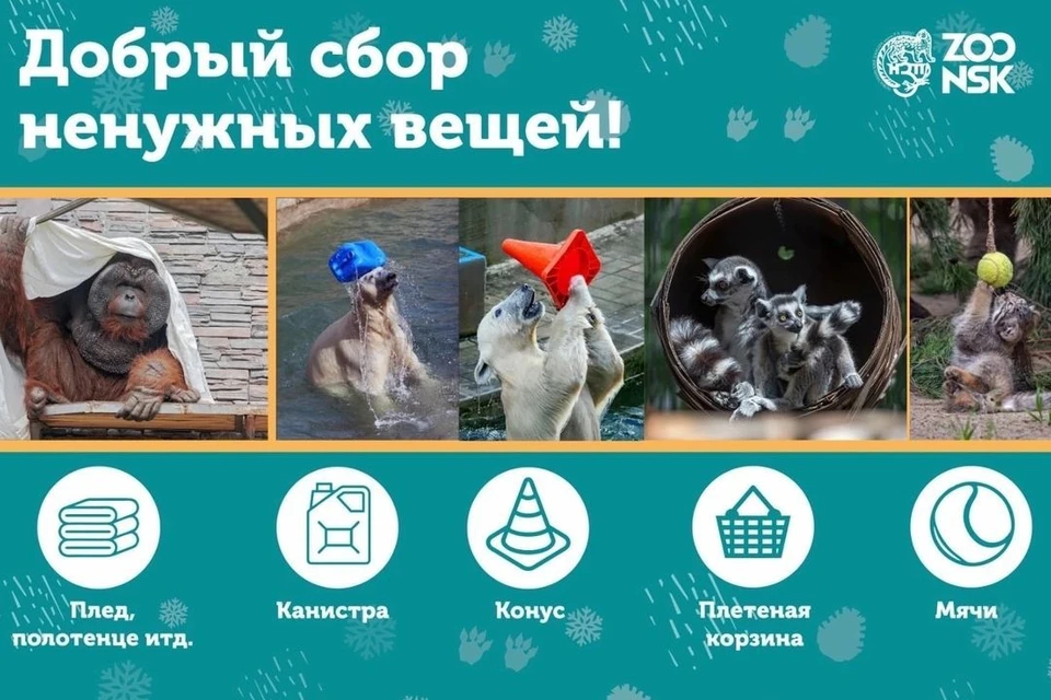 Новосибирцев приглашают сделать игрушки для животных зоопарка. Фото: Новосибирский зоопарк
