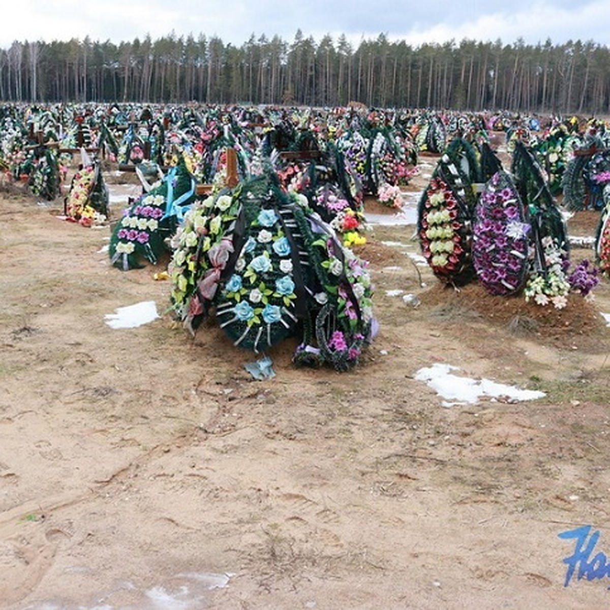 ЖКХ Барановичей объяснило ситуацию на кладбище после скандального видео в  TikTok - KP.RU