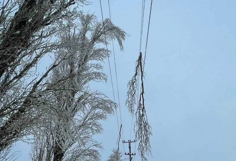 Провода оборвали ветви и лед. Фото: Россети ЮГ