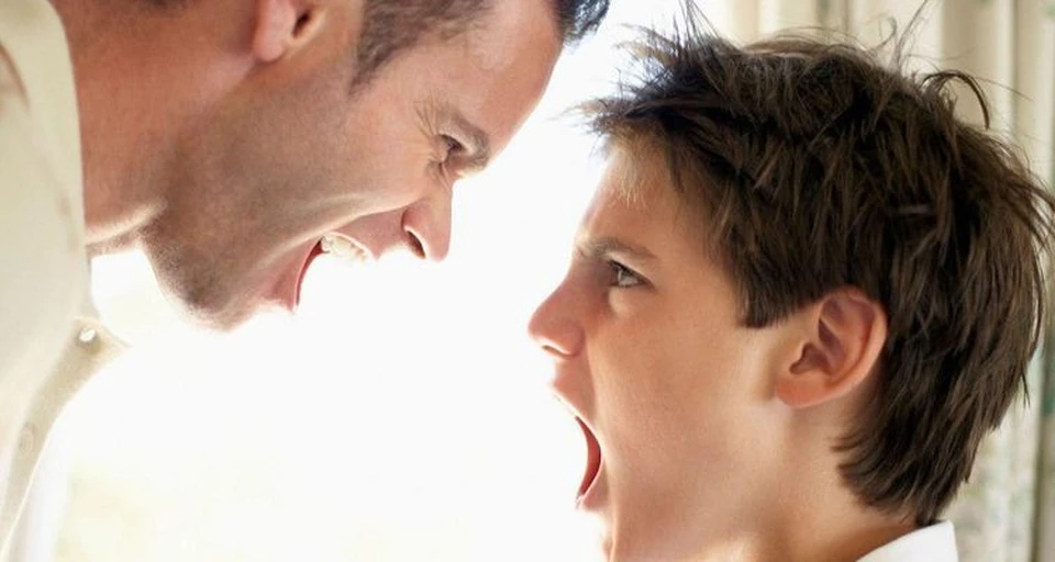 Агрессия порождает агрессию, часто дети ведут себя так, как ведут себя их родители. Фото: tren-kot.ru