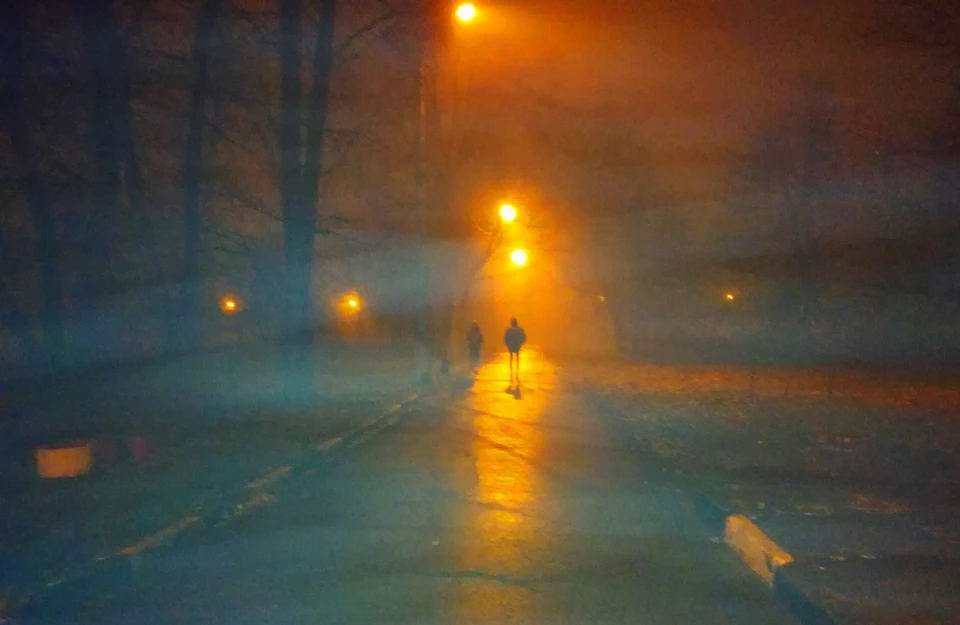 Из-за тумана в Белгородской области действует желтый уровень опасности.