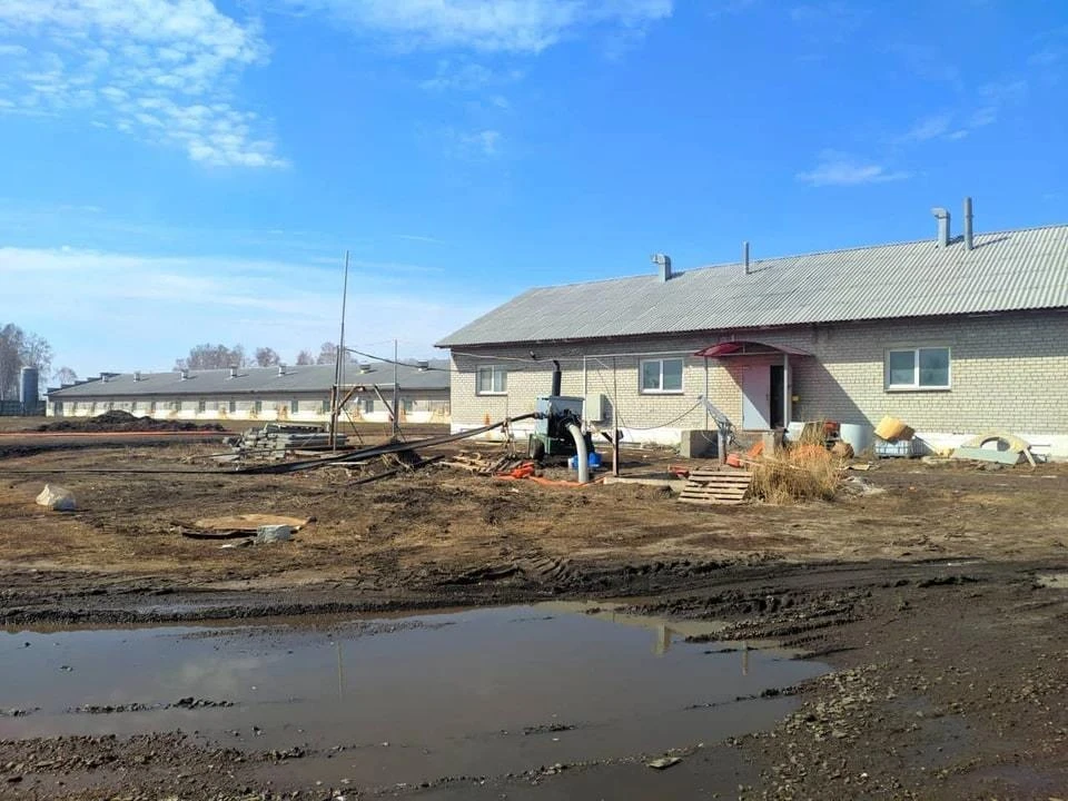 Двое мужчин задохнулись, очищая свинокомплекс. Фото: прокуратура Челябинской области