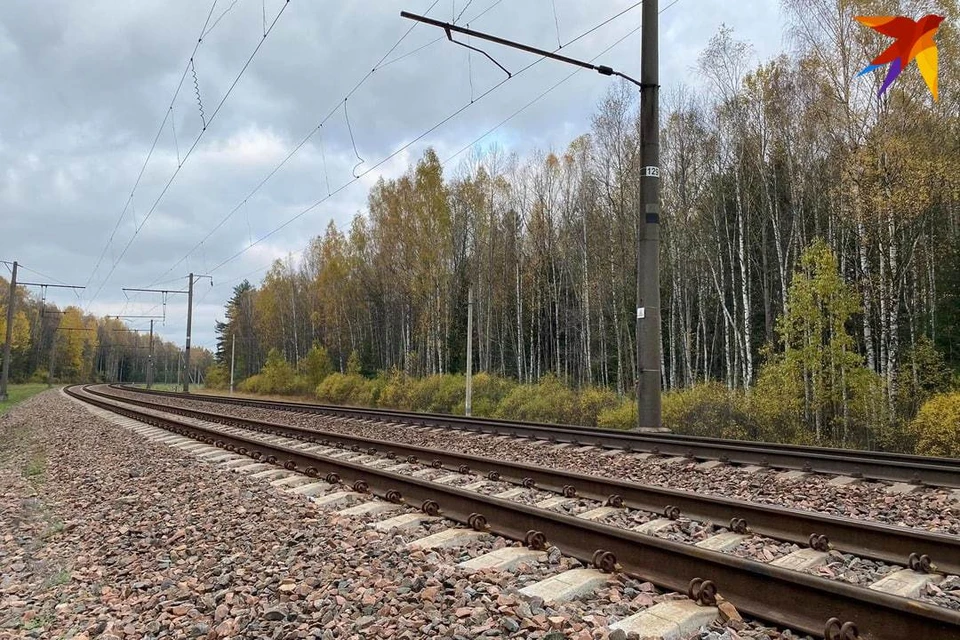 Железнодорожные пути в сторону Петербурга будут реконструированы для прохождения больших объемов груза. Фото: архив "КП".