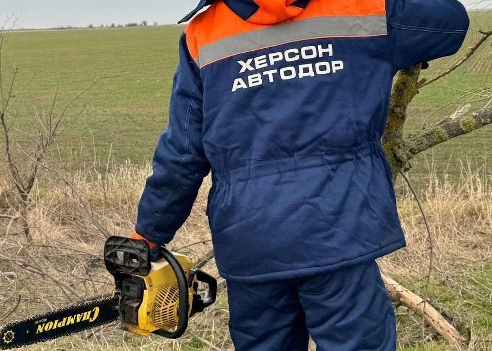 В Геническом округе в рамках подготовки к весенне-летнему периоду обрезали поросли деревьев и кустарников на обочинах. ФОТО: минтранс Херсонской области