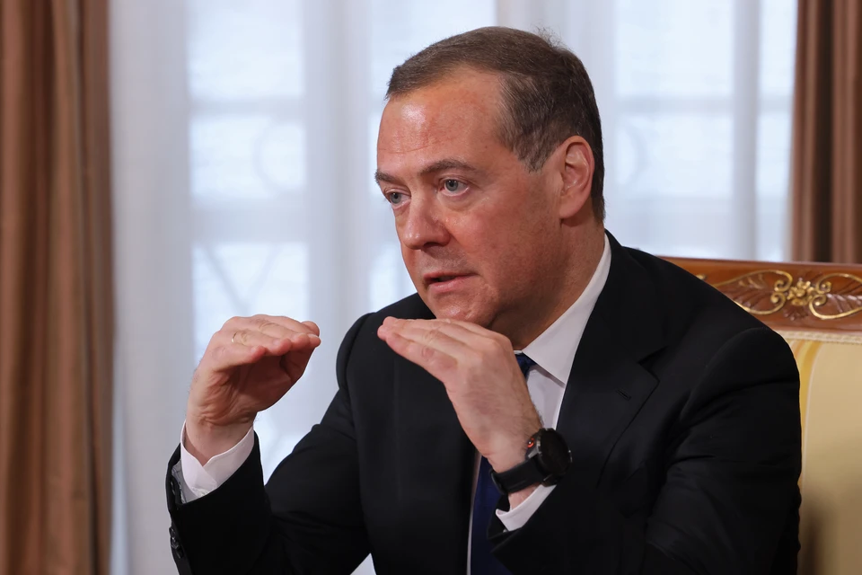 Дмитрий Медведев. Фото: Екатерина Штукина