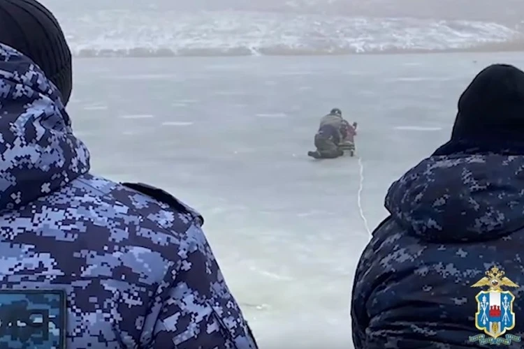 Играла с подружкой и провалилась под лед: в Ростовской области спасли 12-летнюю девочку, которая тонула в пруду
