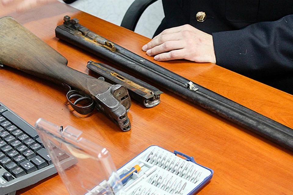 3 февраля птицы попали в реабилитационный центр, где у них обнаружили огнестрельные ранения. Тематическое фото