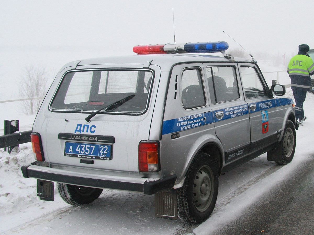 В Алтайском крае за сутки 17 человек попались на вождении в пьяном виде -  KP.RU