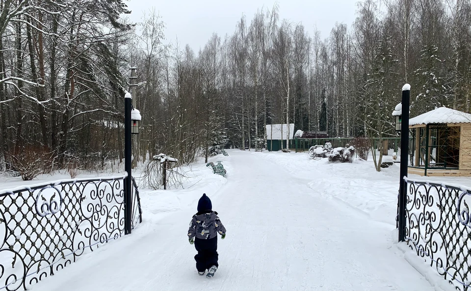 Зима из Тверской области обещает уйти с началом марта.