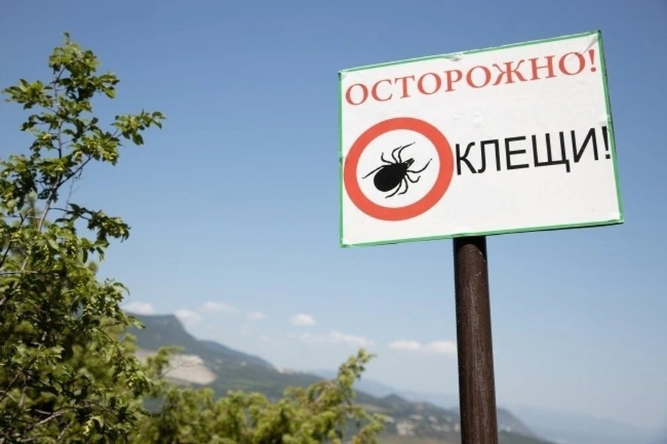 Всего в Крыму насчитывают около 60 видов паразитов