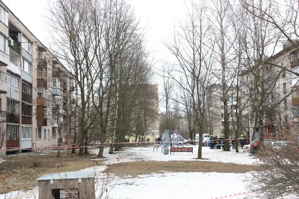 Беспилотники могли долететь до Петербурга в режиме молчания и при координации со спутника.