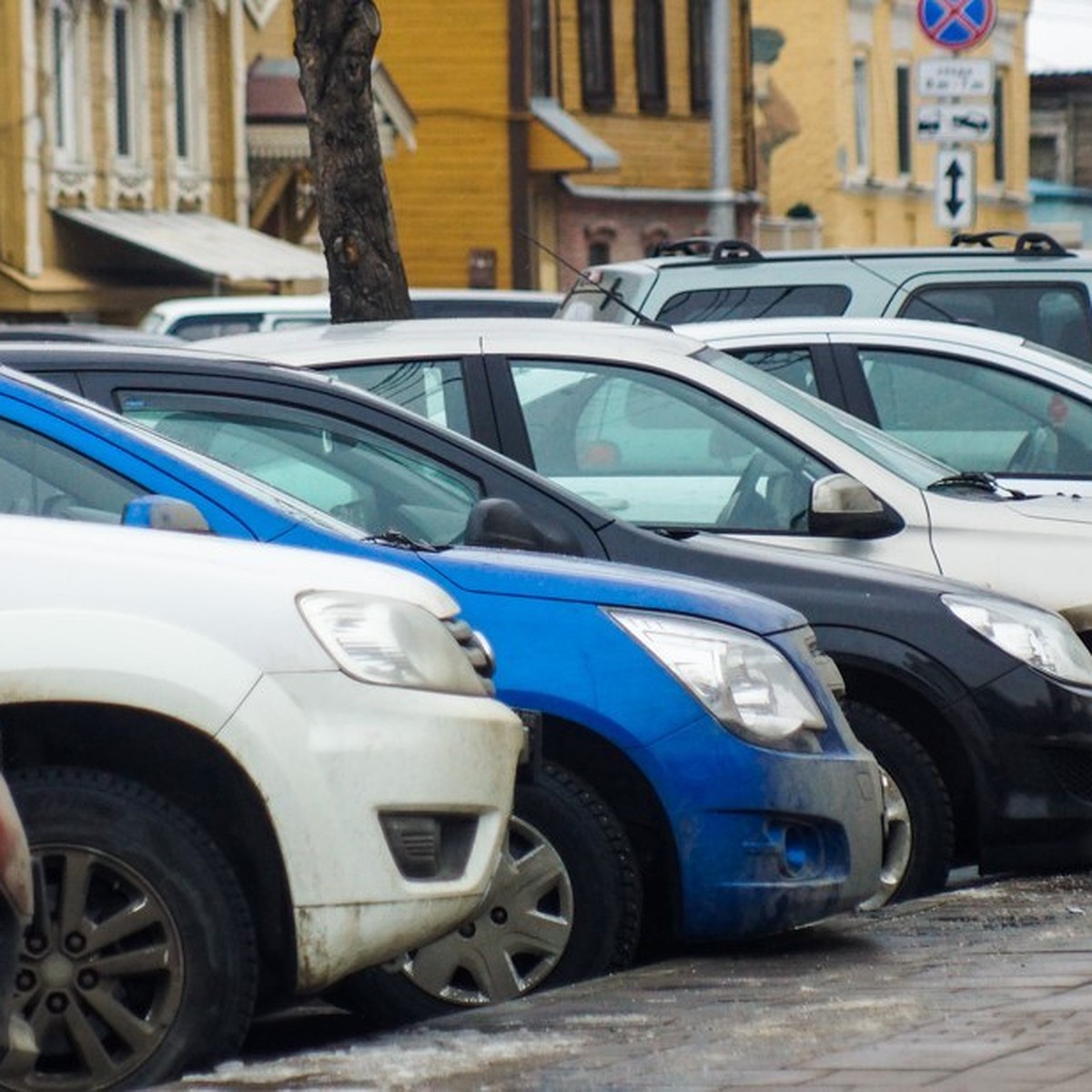 Автомобилисты Самары пожаловались на гадящих голубей - KP.RU