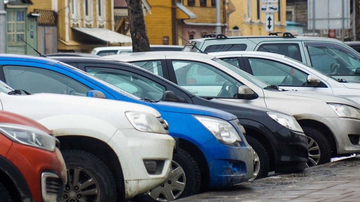 Автомобилисты Самары пожаловались на гадящих голубей - KP.RU