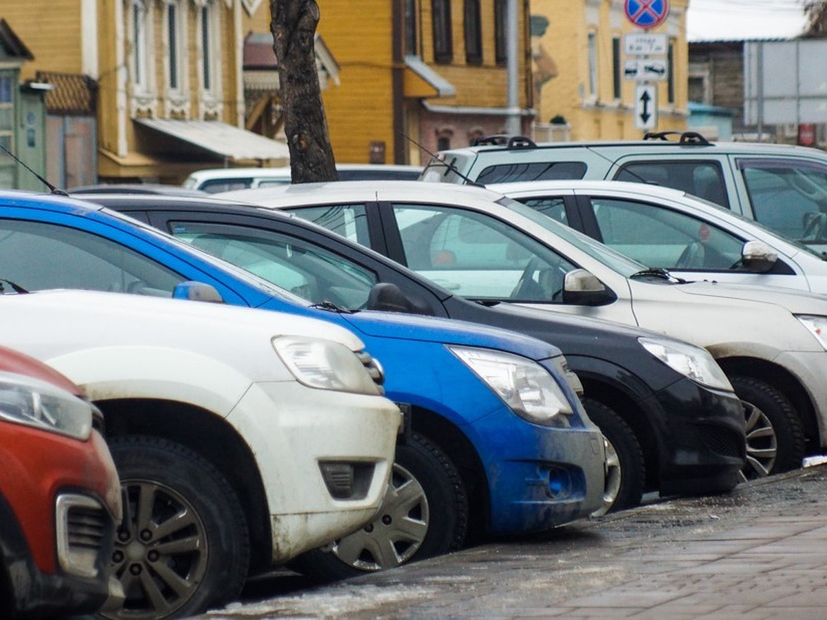 Автомобилисты Самары пожаловались на гадящих голубей - KP.RU