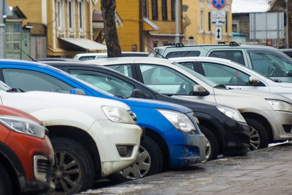 Птичий помет опасен для автомобильной краски