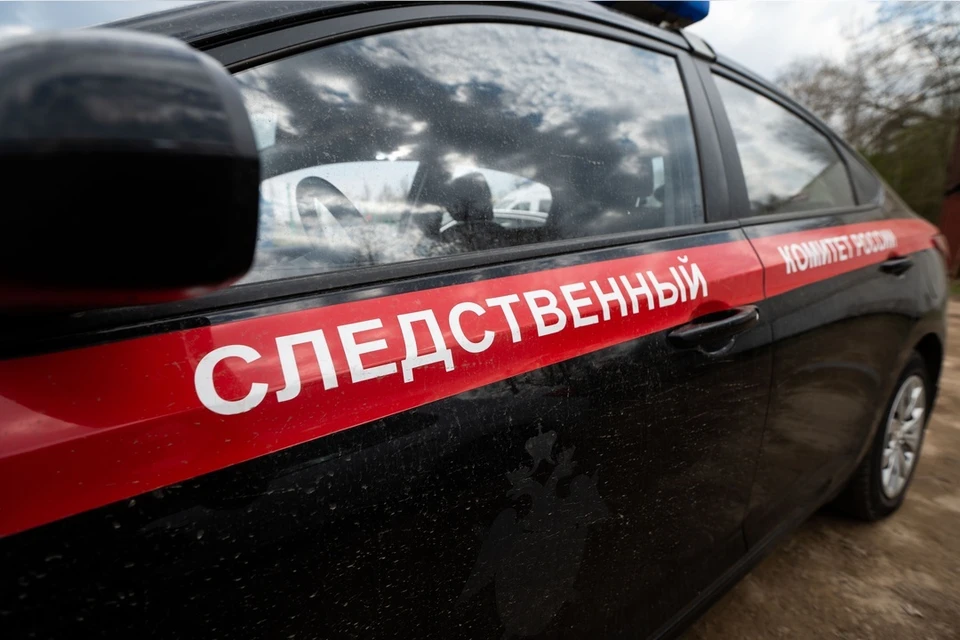 После ЧП в Шушарах в больницу попал восьмилетний ребенок.