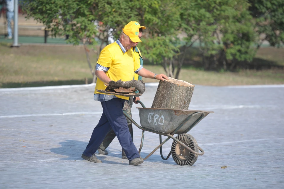 Пень будет выкорчеван.